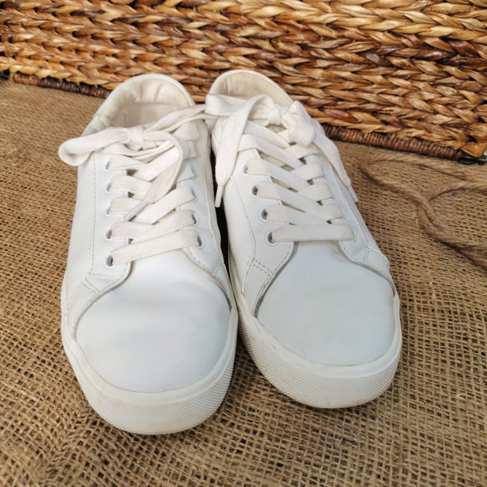 Sam Edelman Ethyl Low Top Sneaker size 7